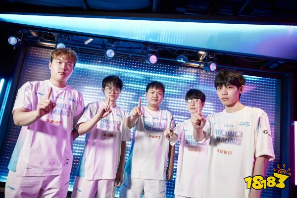 型中卫统筹 型中卫统筹