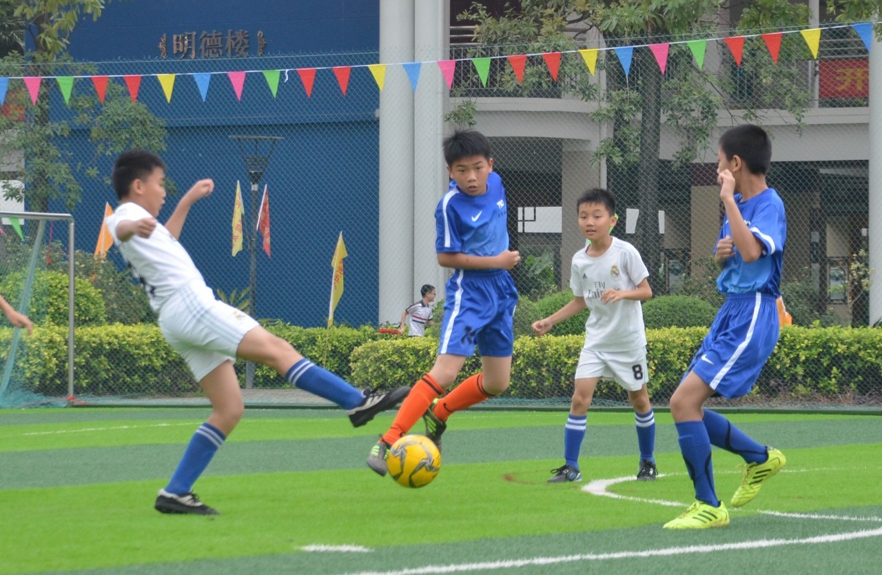 国内杯赛的 国内杯赛的